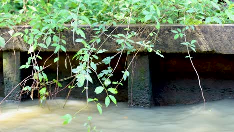 방의 khlong lat mayom 떠다니는 시장에서 촬영된 울창한 초록색과 부드러운 물의 움직임으로 조용한 운하 장면