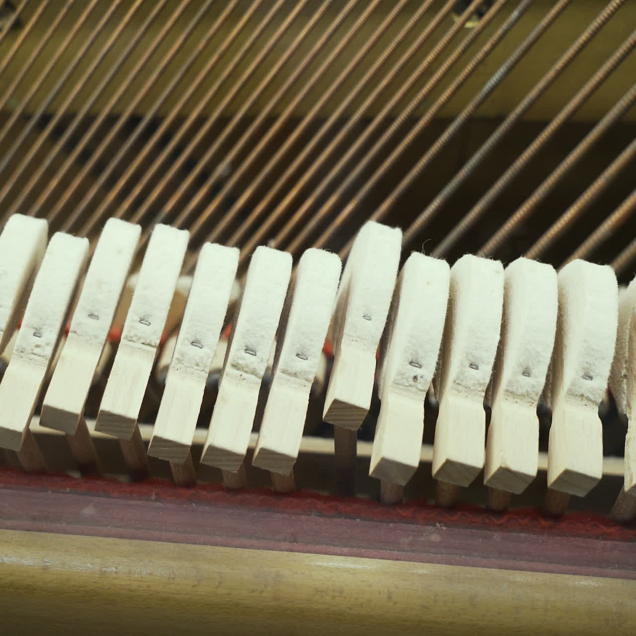 Piano. Principles of the work of musical instruments.