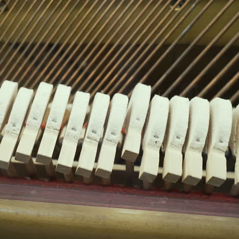 Piano. Principles of the work of musical instruments.
