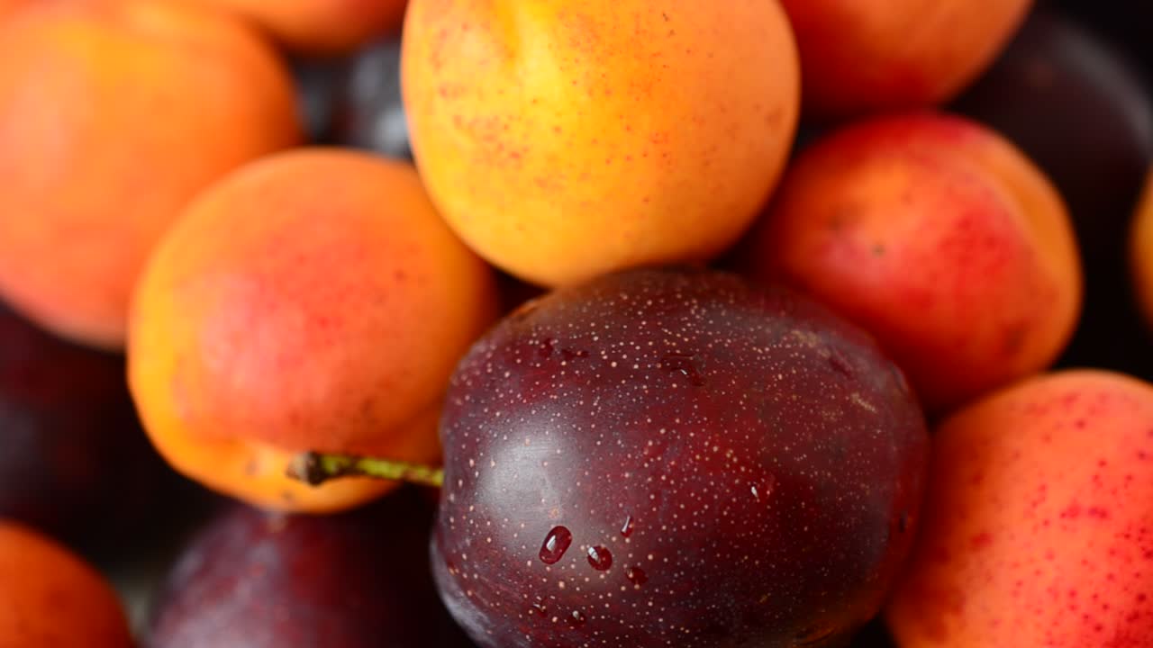 Abricots et prunes, fruits. Prise de vue de fruits
