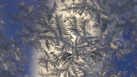 Flores-De-Hielo-Retroiluminadas-En-Una-Ventana