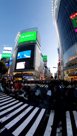 shibuya crossing at dusk