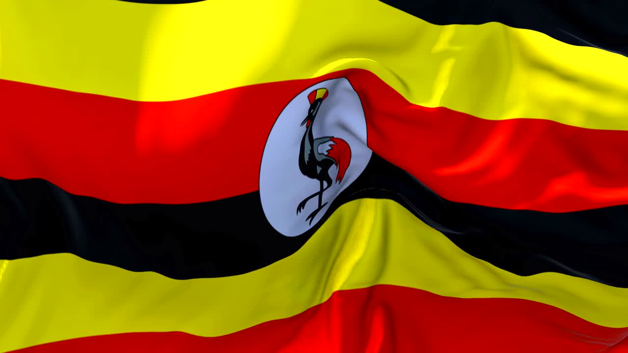 우간다 발은 바람에 느린 동작 애니메이션 4k 현실적인 직물 텍스처 발 부드럽게 바람 날 연속적인 원활한 루프 배경에 불고 있습니다.