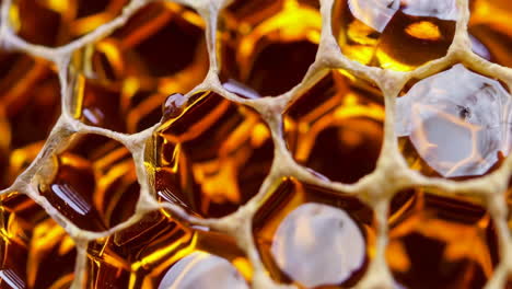 honeycomb texture