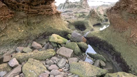 explorando piscinas de roca y erosión en la playa