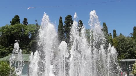 water fountain in a park