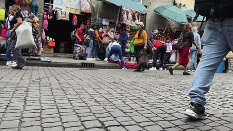 busy afternoon in downtown mexico city. correo mayor street. mexico. timelapse