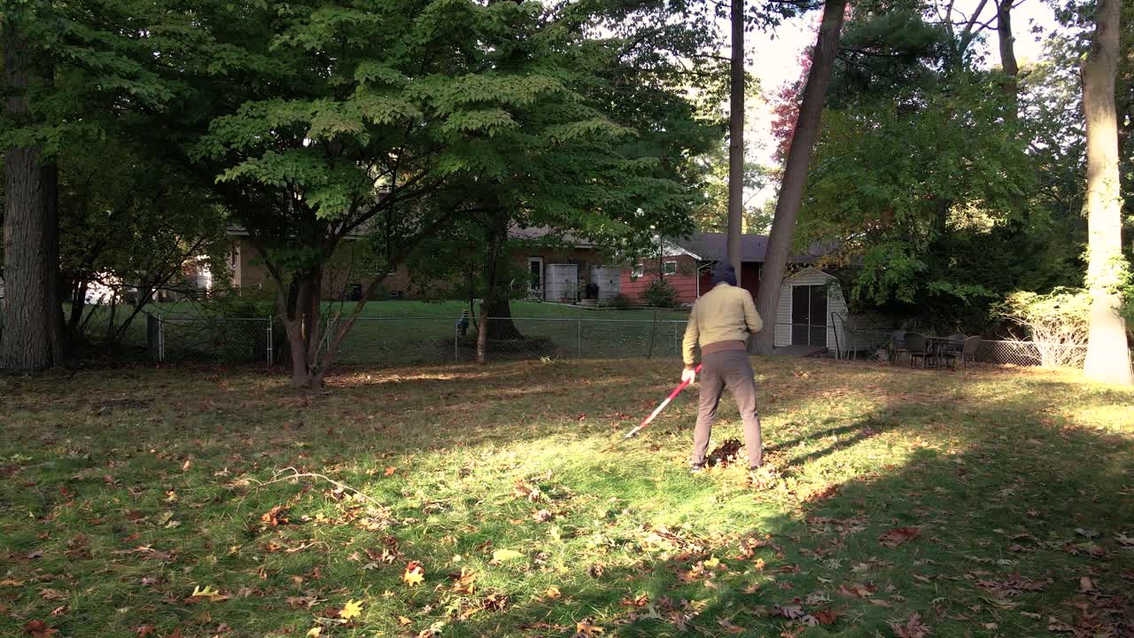 초가을에 낙엽을 긁어모으고, 낙엽을 가로지르는 태양