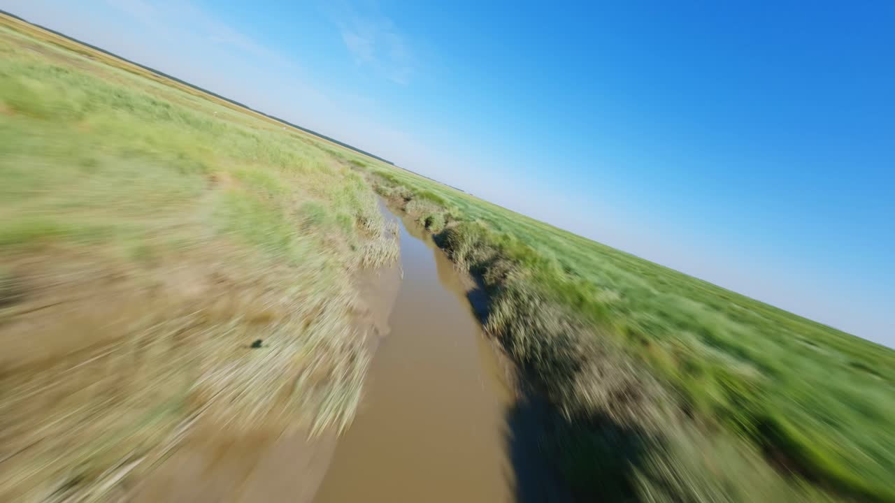 drone fpv de alta velocidad rastreando una zanja estrecha a través de humedales verdes salvajes, con la sombra del drone visible