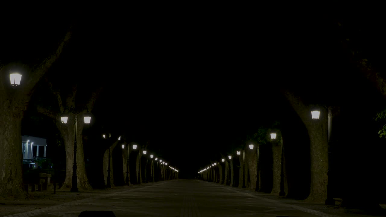 Plane Tree Avenue at night in the old roman city of Ponte de Lima, Portugal.
