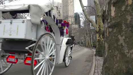 horse drawn carriages move through central park in new york city 1