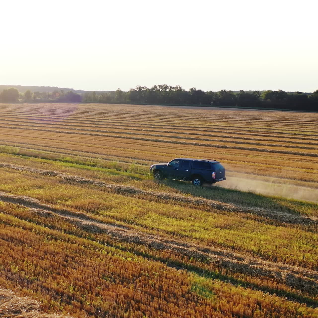 Car is moving on the field in summer day. Automobile drives on the road inside the golden field with dried hay bales. Aerial view.