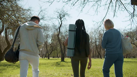 people walking in the forest