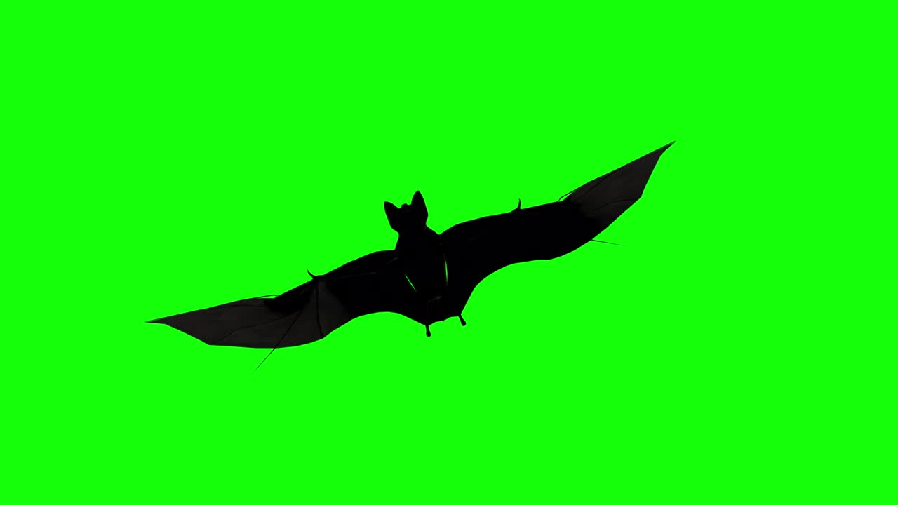 хэллоуинская летучая мышь на зеленом экране