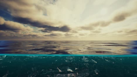 split view over and under water in the caribbean sea with clouds