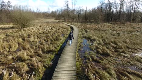 Aerial-view-of-a-guy-walking-alone-on-a-wooden-pathway-in-a-meadow-in-the-fall