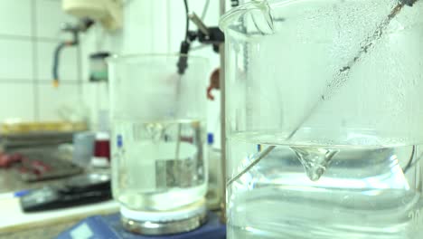 laboratorio dentro de un matadero de animales de probeta