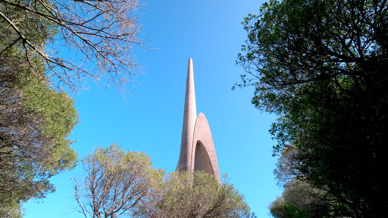 Upward view between trees of main column of Afrikaans language monument in Paarl