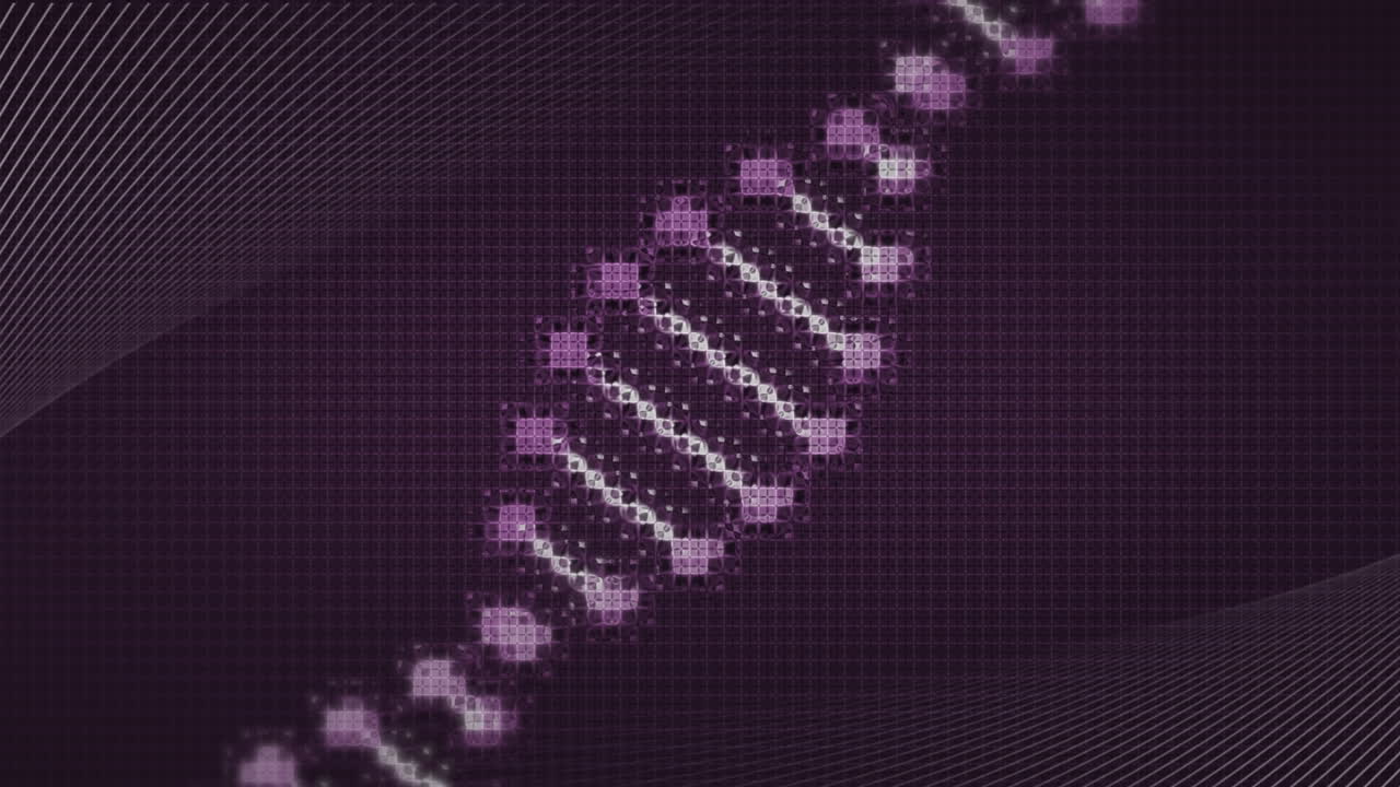 animación de curvas paralelas blancas que se mueven sobre una cadena de adn digital giratoria, en una cuadrícula rosa sobre negra