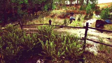 old wooden fence and hiking path through forest