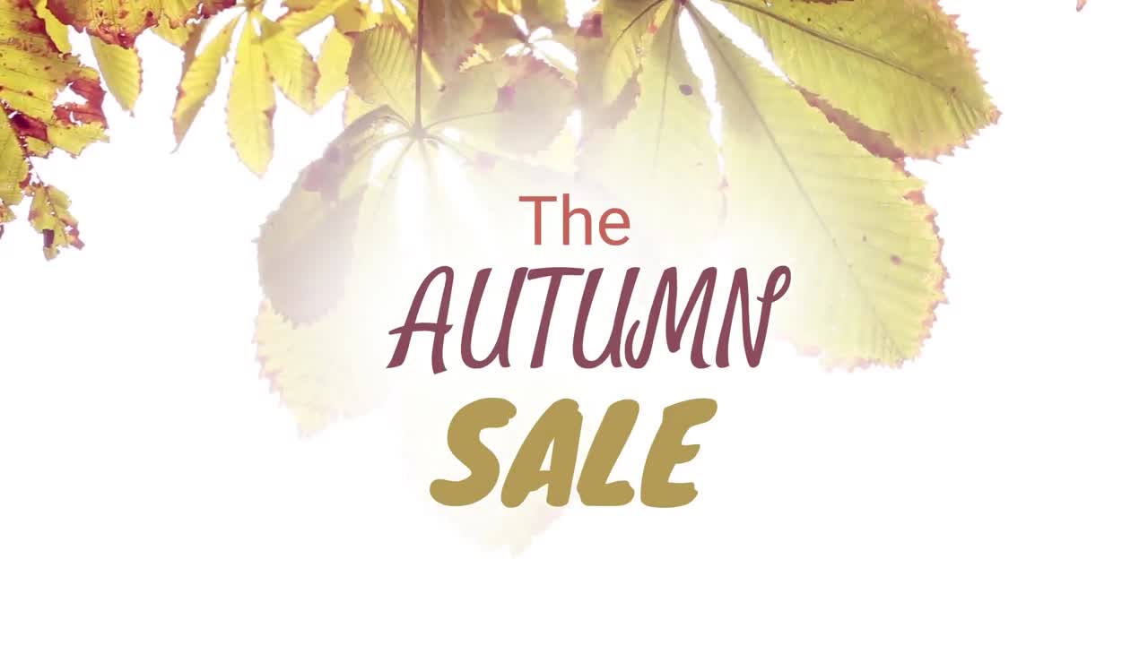 가을 판매 4k의 디지털로 생성 된 비디오