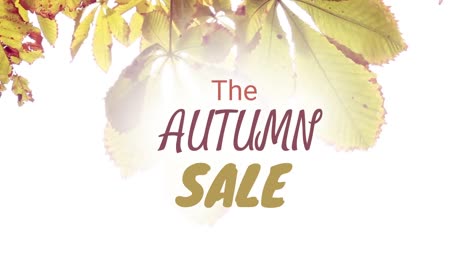 video generado digitalmente de la venta de otoño 4k
