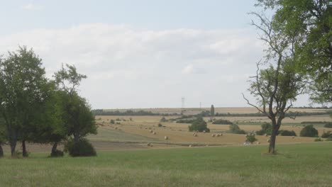 Timelapse-of-shade-from-clouds-passing-across-agriculture-farmland-scene-in-countryside,-near-roads