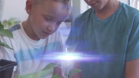 Animation-of-light-trails-over-diverse-schoolchildren-holding-plant