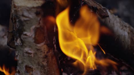 Burning-Logs-Slow-Motion-4K-09