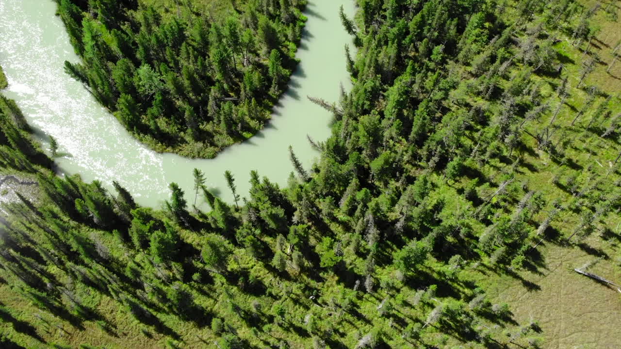 Aerial View of a Winding River Through a Lush Green Forest