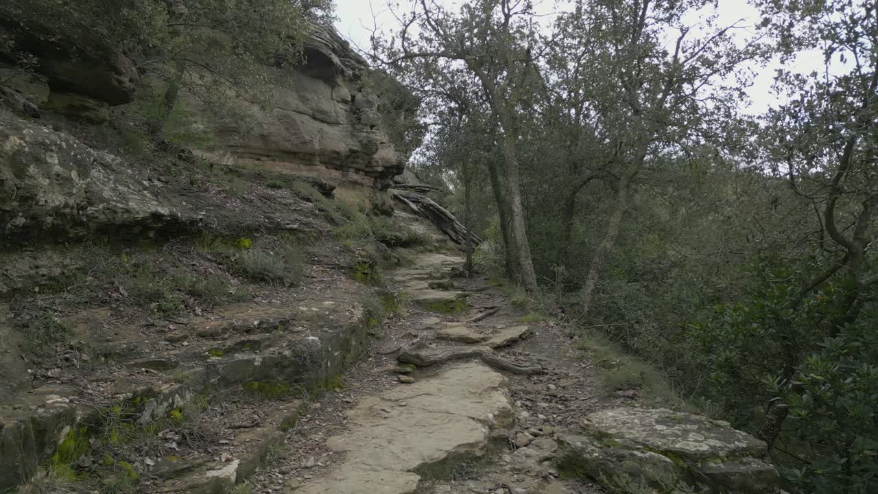 Scenic hiking path winding through catalonian forest, revealing rocky terrain and lush green vegetation characteristic of mediterranean woodland landscape