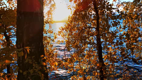 autumn sunset over a lake