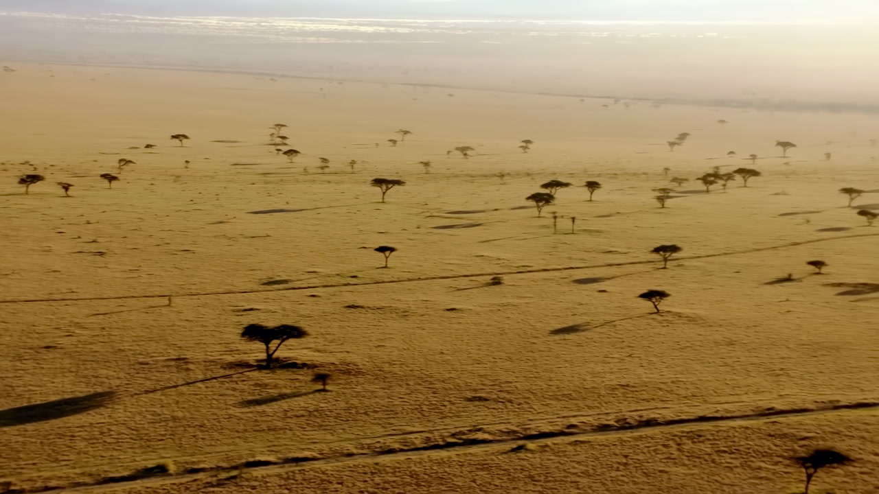 Aerial African Savanna Golden Sunrise Sweeping Vista, Wide View Of Elephant Herd Moving Between Scattered