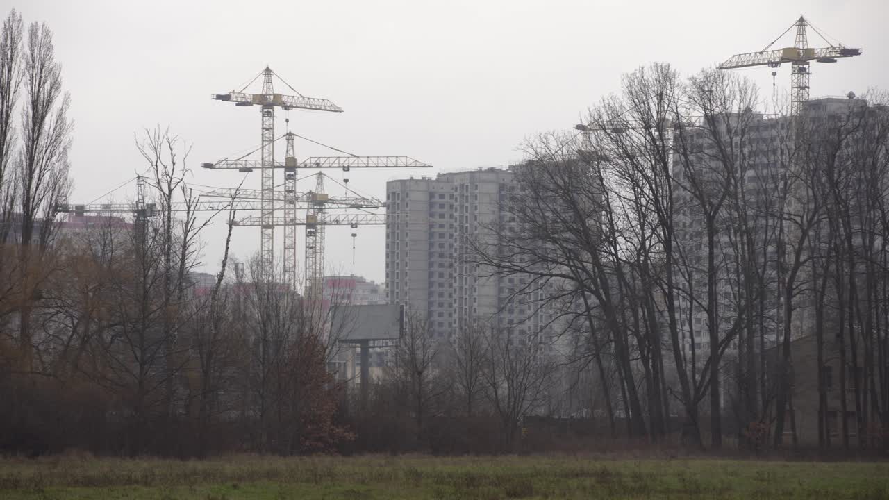 흐린 추운 날씨에 우울한 가을 공원, 가을의 우울한 페인트. 서리가 내리는 길의 숲