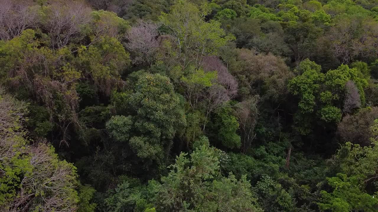 drone disparó argentina santa ana bosque al mediodía con cielo azul paisaje nublado alrededor de santa ana