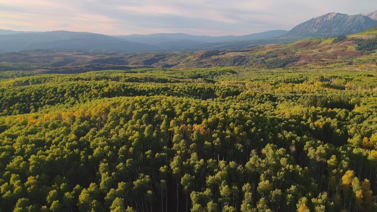 álamos tembloses girando en kebler pass, colorado