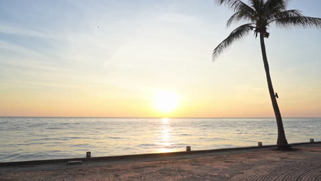 One-silhouetted-Coconut-Palm-tree-on-sandy-beach-at-colorful-sunrise-over-the-ocean