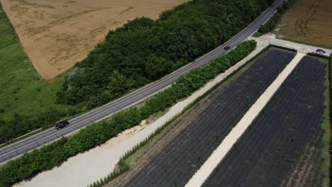 aerial view of small lavender field near country road