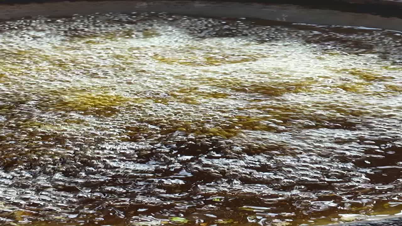 глубоко поджарить пакору или самосу на сковородке