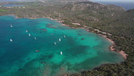 Orbitalluftaufnahme-Von-Segelbooten,-Die-Auf-Der-Insel-Caprera-Auf-Sardinien-Segeln