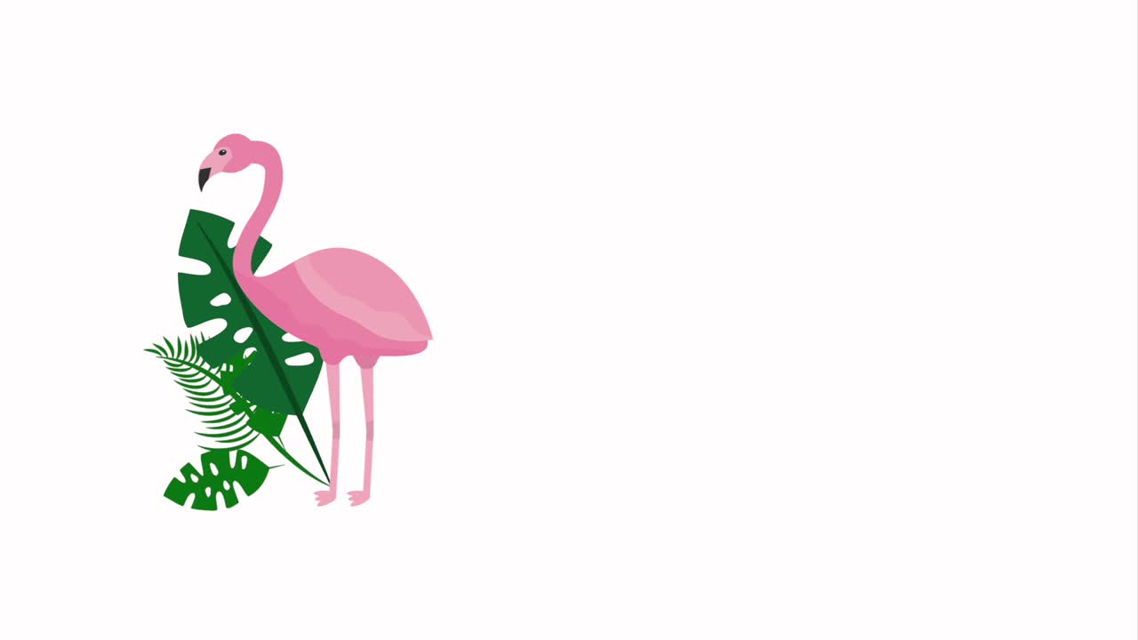 여름 열대 템플릿