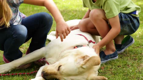 brother and sister rubbing their dog