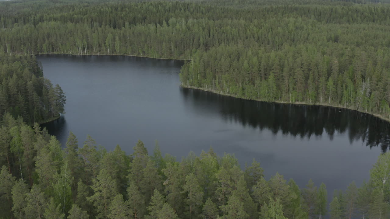 푸른 숲으로 둘러싸인 곡선 호수 위를 날다