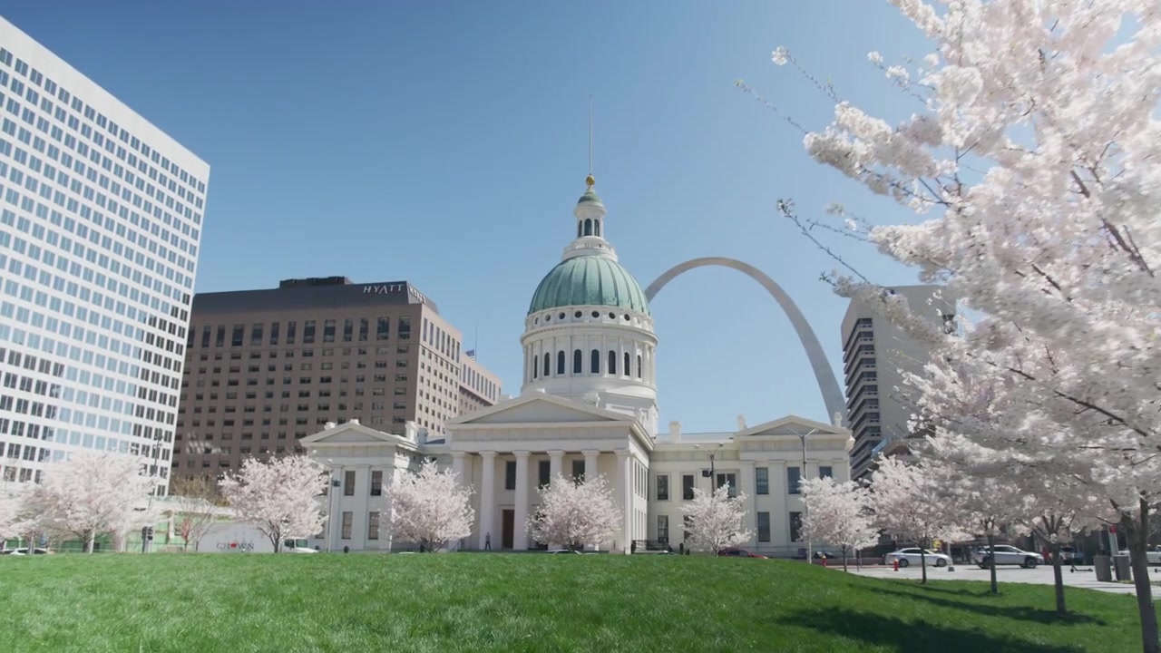 Tomada em câmera lenta ultra-ampla de cornus em flor em vista de parque do Arco Gateway de St. Louis e do Antigo Tribunal.