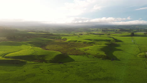 Vista-Aérea-De-Huriawa,-Comúnmente-Conocida-Como-Península-De-Huriawa-O-Península-De-Karitane,-Verdes-Colinas-Con-Cálida-Luz-De-Puesta-De-Sol