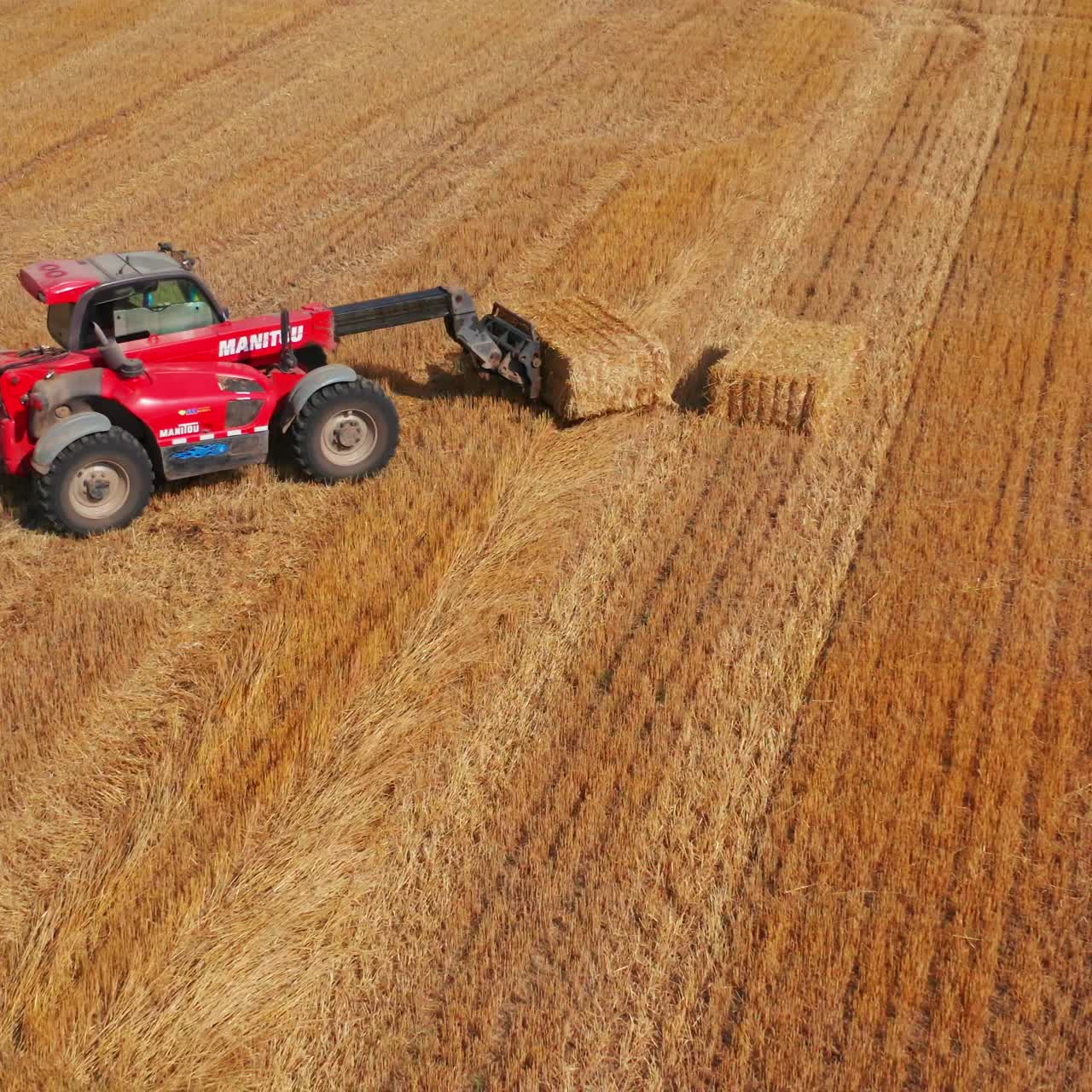 Little agile powerful loader machine picks up hay bale and puts it on another one. Agricultural machinery working in the field after harvesting wheat