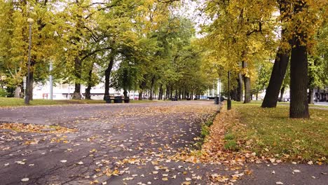 Bunte-Gelbe-Und-Goldene-Herbstparkgasse-Mit-Verkehr-In-Der-Ferne