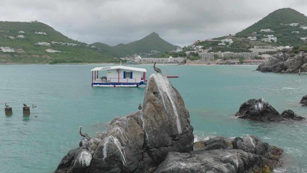 세인트 마틴의 푸르키즈 물 바다에서 바위 꼭대기에 서 있는 펠리칸의 공중 촬영