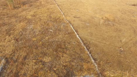 building base on field in crni kal slovenia