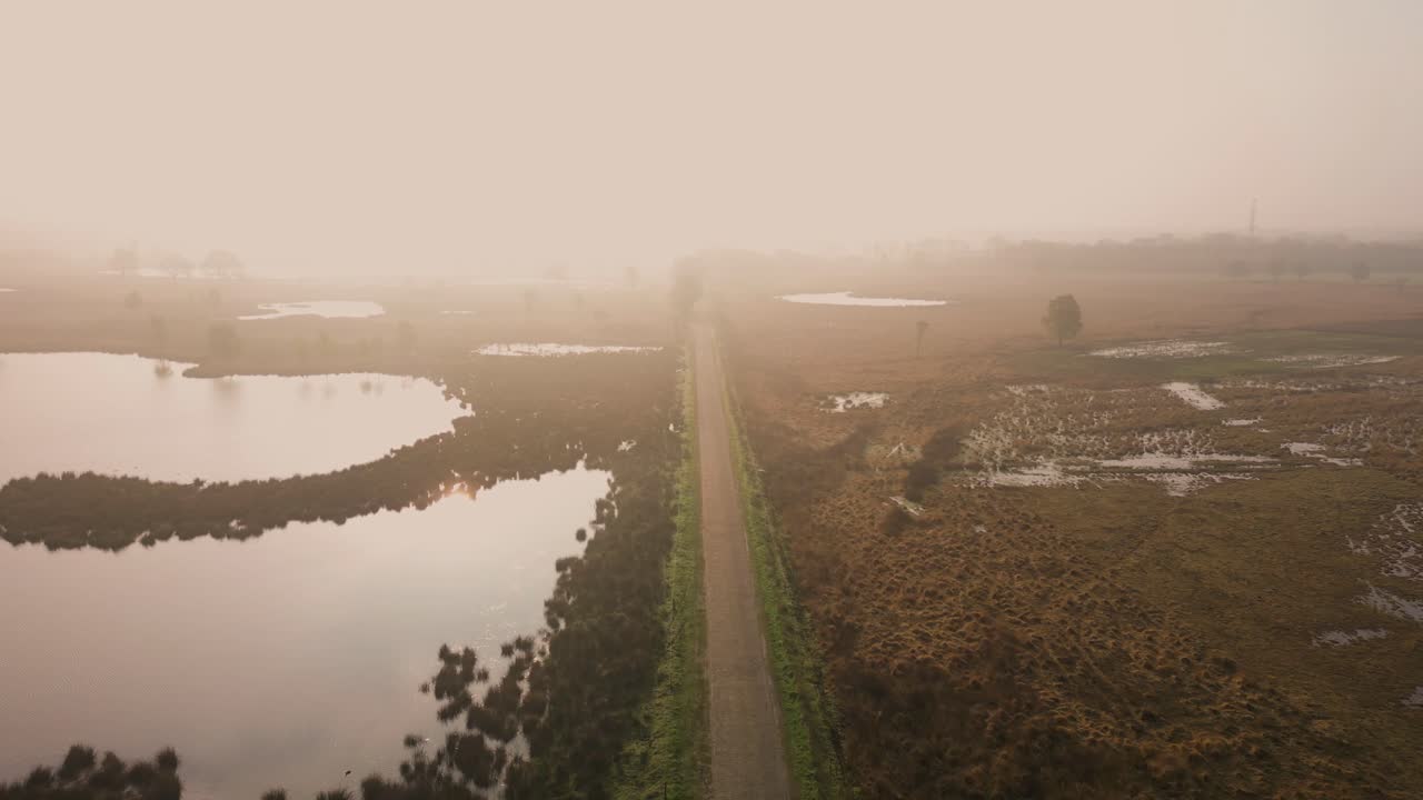 paisaje matutino brumoso sobre los humedales